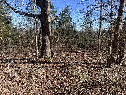 0 Blooming Grove Rd, Five Points, TN 38457 photo 5
