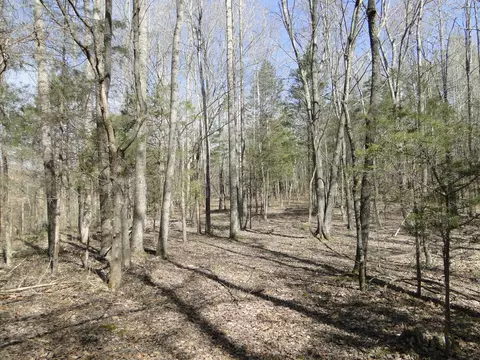View/Area - 235 Rackley Rd, Goodspring, TN 38460 photo 34 of 36