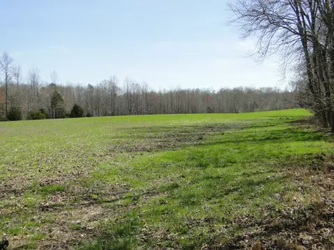 Exterior - 235 Rackley Rd, Goodspring, TN 38460 photo 15 of 15