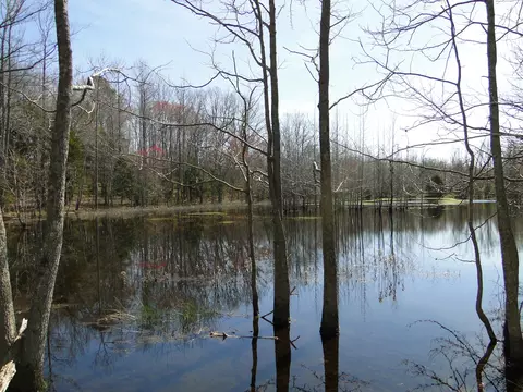 View/Area - 235 Rackley Rd, Goodspring, TN 38460 photo 33 of 36