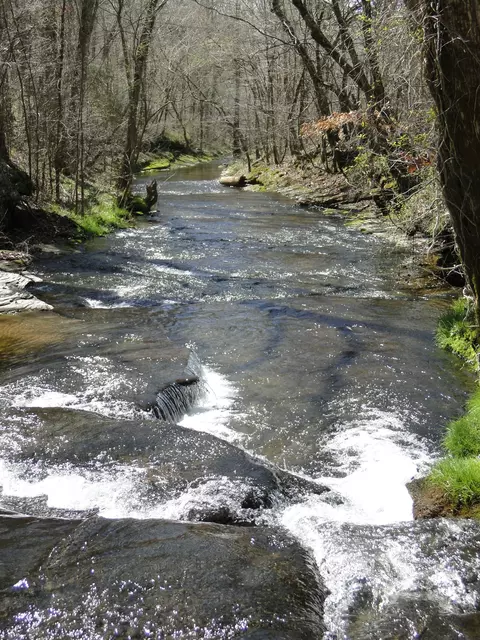 View/Area - 235 Rackley Rd, Goodspring, TN 38460 photo 36 of 36