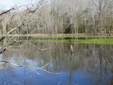 View/Area - 235 Rackley Rd, Goodspring, TN 38460 photo 7 of 36