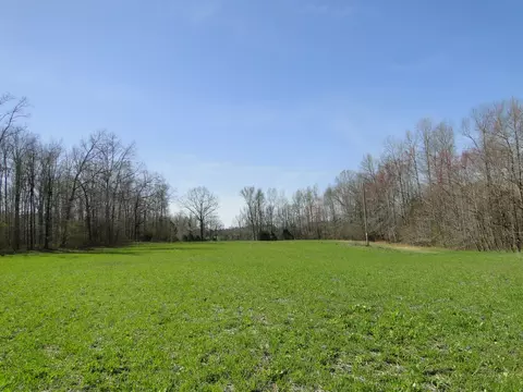 Exterior - 235 Rackley Rd, Goodspring, TN 38460 photo 9 of 15