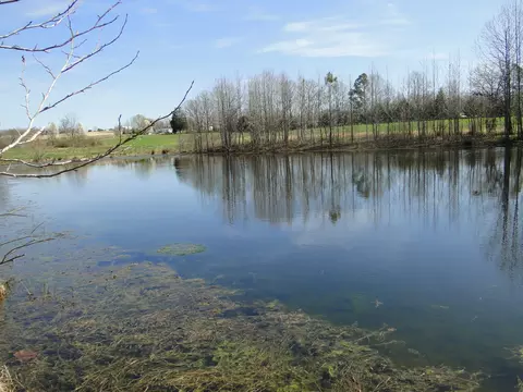 View/Area - 235 Rackley Rd, Goodspring, TN 38460 photo 30 of 36
