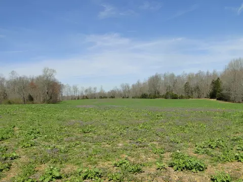 Exterior - 235 Rackley Rd, Goodspring, TN 38460 photo 11 of 15