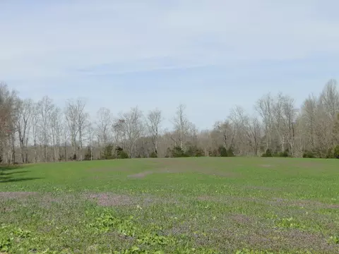 Exterior - 235 Rackley Rd, Goodspring, TN 38460 photo 13 of 15