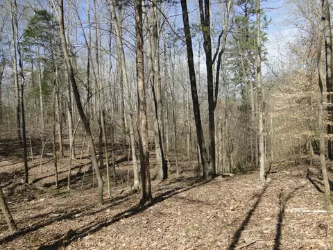 View/Area - 235 Rackley Rd, Goodspring, TN 38460 photo 35 of 36