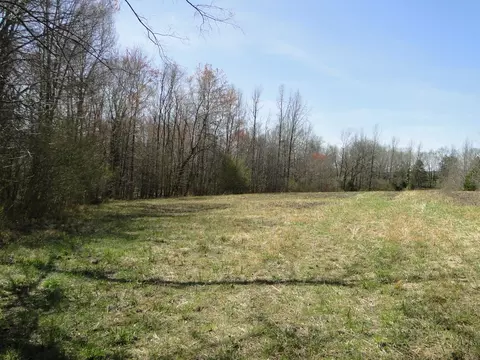 Exterior - 235 Rackley Rd, Goodspring, TN 38460 photo 10 of 15