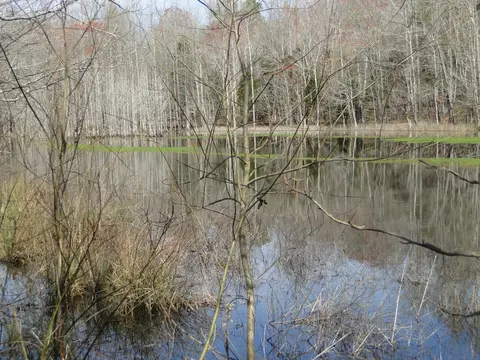 Other - 235 Rackley Rd, Goodspring, TN 38460 photo 3 of 3