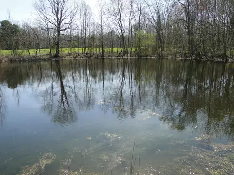 View/Area - 235 Rackley Rd, Goodspring, TN 38460 photo 31 of 36