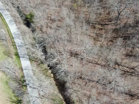 View/Area - 235 Rackley Rd, Goodspring, TN 38460 photo 22 of 36