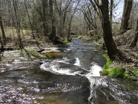 View/Area - 235 Rackley Rd, Goodspring, TN 38460 photo 5 of 36