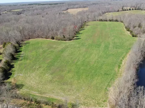View/Area - 235 Rackley Rd, Goodspring, TN 38460 photo 12 of 36