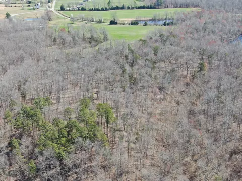 View/Area - 235 Rackley Rd, Goodspring, TN 38460 photo 25 of 36