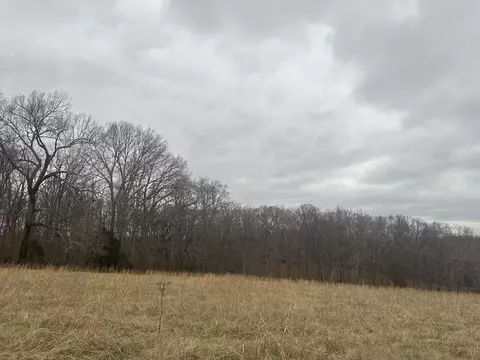 2 Myatt Loop, Burns, TN 37029 photo 3