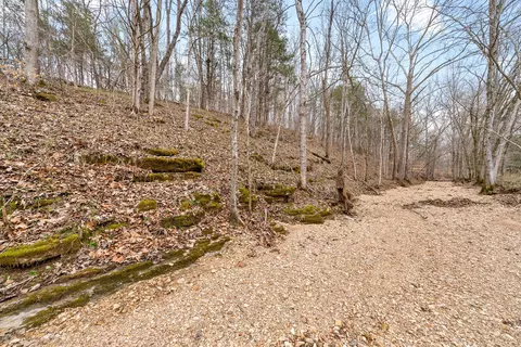 1 Brothers Rd, Dover, TN 37058