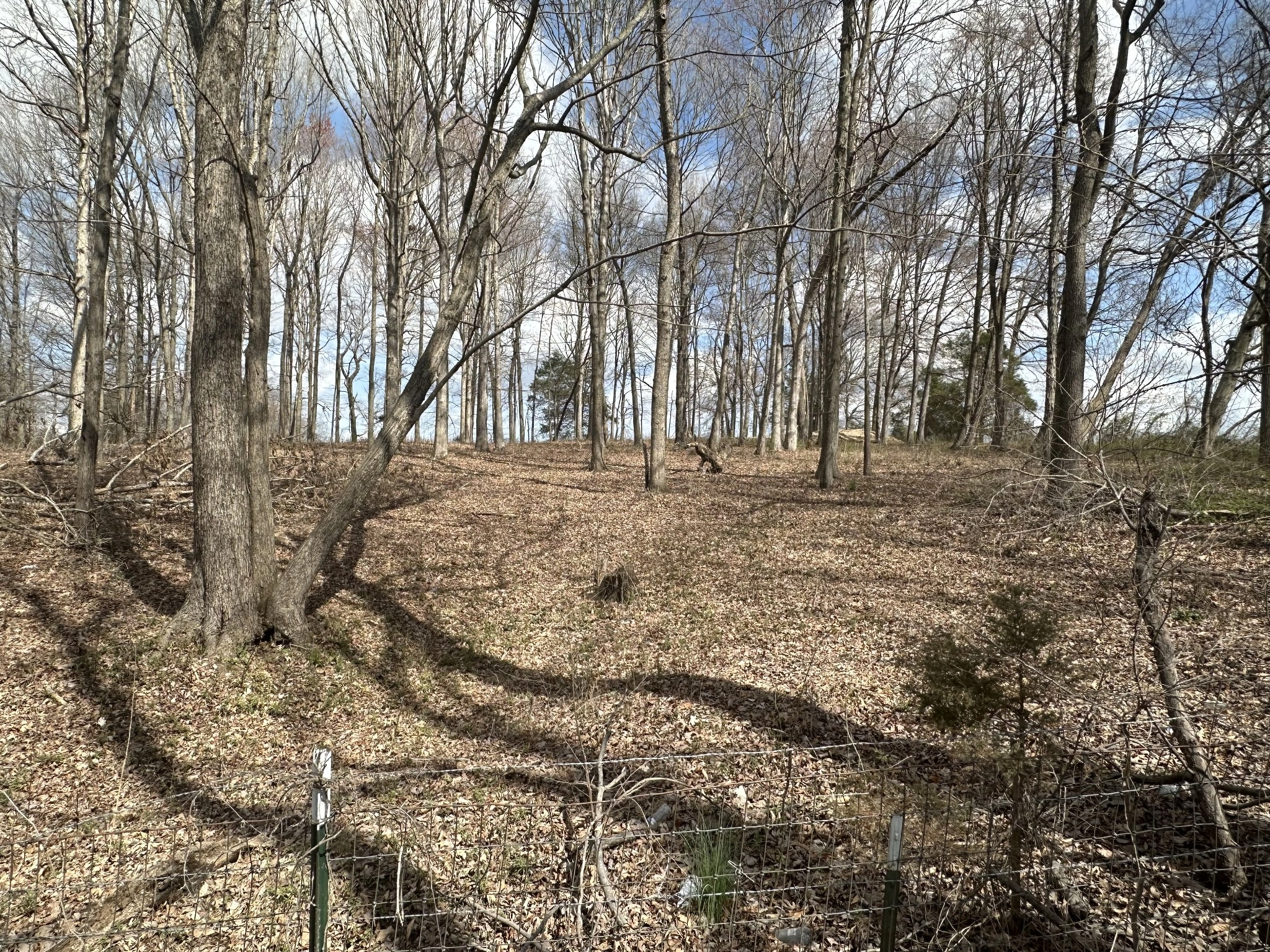 5118 Carlene Jones Rd  