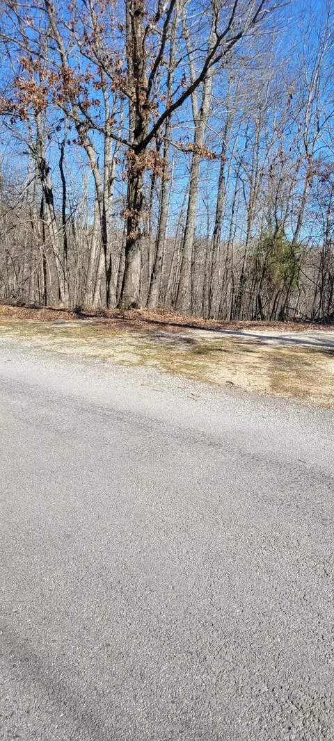 1 Eagle Shore Dr, Dover, TN 37058 photo 5