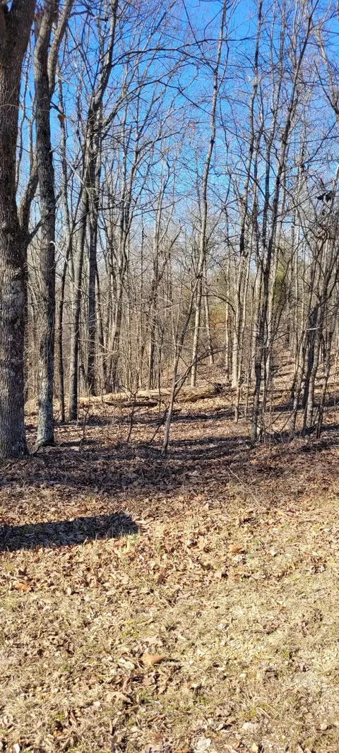 1 Eagle Shore Dr, Dover, TN 37058 photo 3