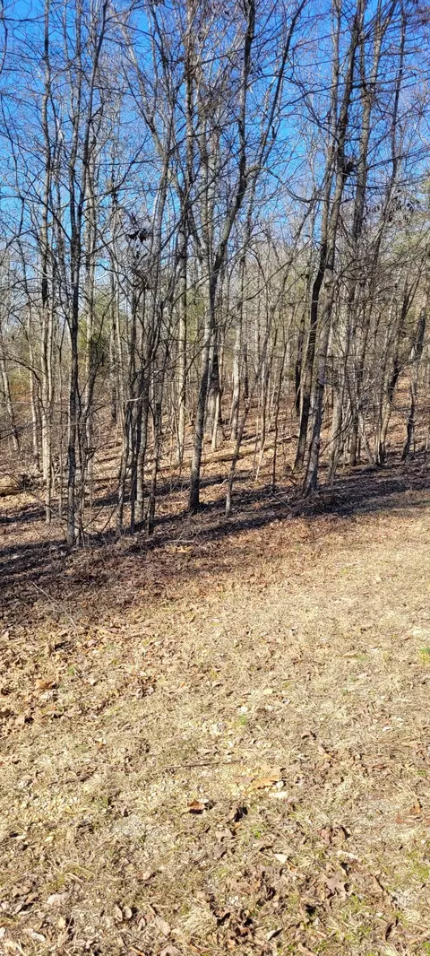 1 Eagle Shore Dr, Dover, TN 37058 photo 4
