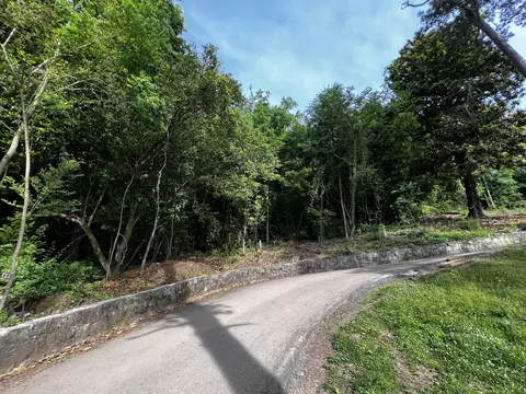 861865 Donaldson Rd, Chattanooga, TN 37412