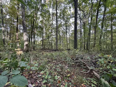 0 Fox Ridge Rd, Pikeville, TN 37367