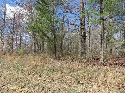 0 Armstrong Ln, Monterey, TN 38574