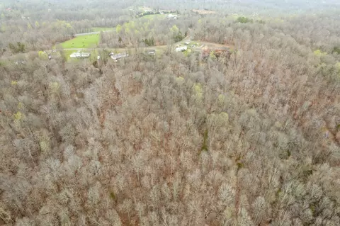 View/Area - 2975 Patsy Ln, Palmyra, TN 37142 photo 2 of 3