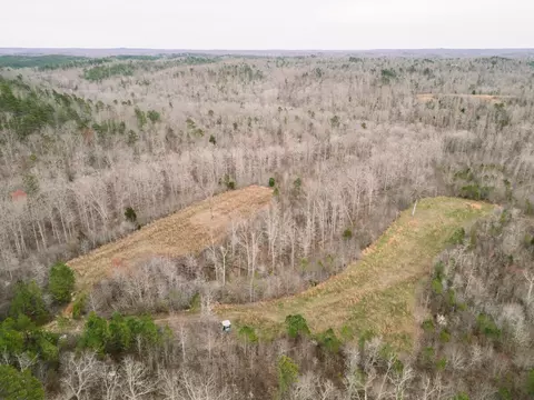 0 Pineview Rd, Linden, TN 37096 photo 6