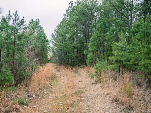 0 Pineview Rd, Linden, TN 37096 photo 12