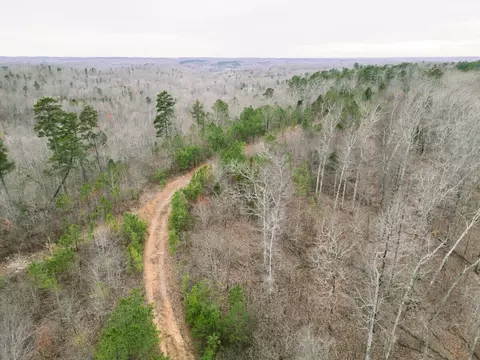 0 Pineview Rd, Linden, TN 37096 photo 5