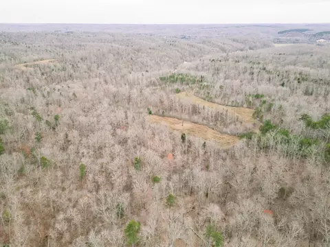 0 Pineview Rd, Linden, TN 37096 photo 4