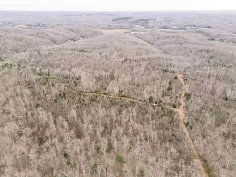 0 Pineview Rd, Linden, TN 37096 photo 17