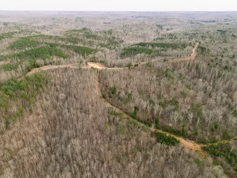 0 Pineview Rd, Linden, TN 37096 photo 15