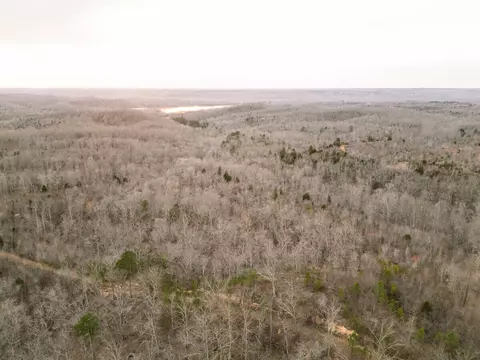 0 Pineview Rd, Linden, TN 37096 photo 8