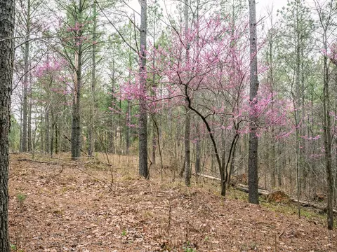 0 Pineview Rd, Linden, TN 37096 photo 13