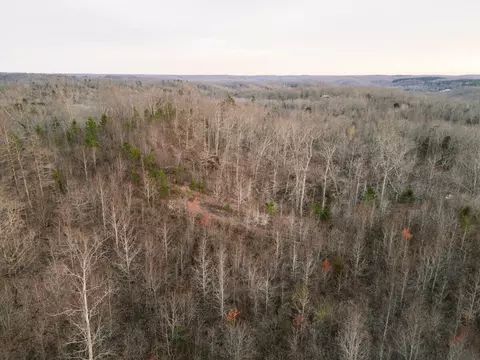 0 Pineview Rd, Linden, TN 37096 photo 9