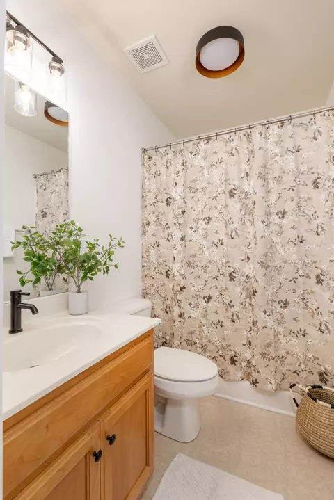 Bath - 1008 Persimmon Dr, Spring Hill, TN 37174 photo 5 of 6