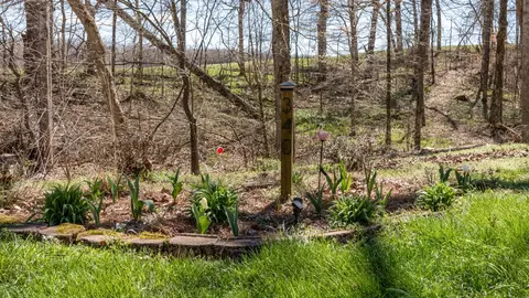 Exterior - 340 Batson Rd, Cunningham, TN 37052 photo 6 of 17