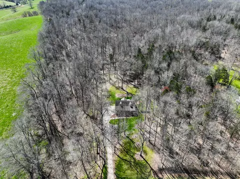 View/Area - 340 Batson Rd, Cunningham, TN 37052 photo 5 of 14