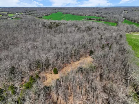 View/Area - 340 Batson Rd, Cunningham, TN 37052 photo 8 of 14