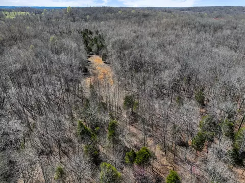View/Area - 340 Batson Rd, Cunningham, TN 37052 photo 7 of 14
