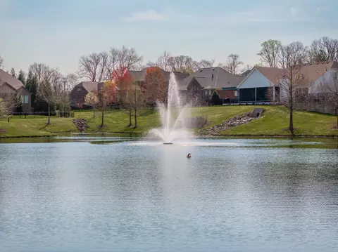 View/Area - 401 Malcolm Dr, Franklin, TN 37067 photo 10 of 11