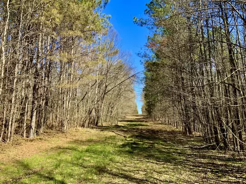 0 Spring Hill Cemetery Rd, Sardis, TN 38371