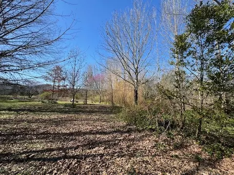 8888 Arnold Rd, Christiana, TN 37037