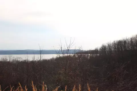 1 Golden Eagle Dr, Dover, TN 37058
