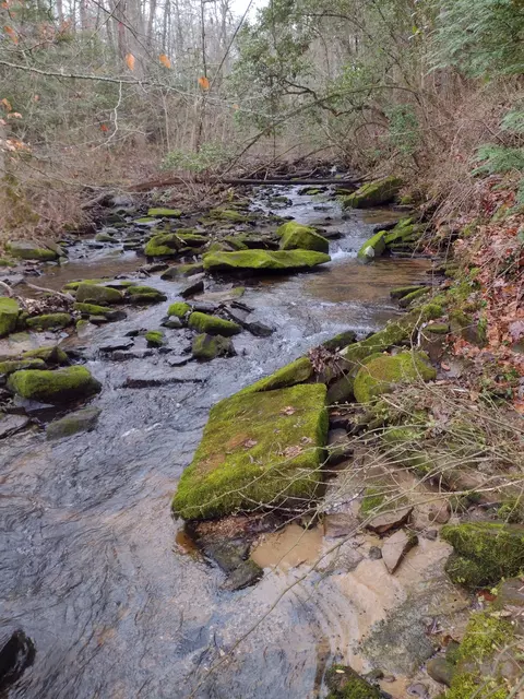0 Sr 108, Altamont, TN 37301