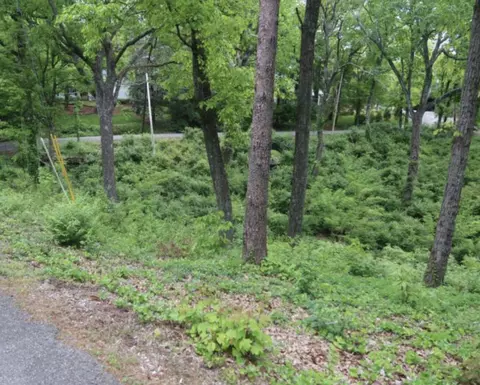 0 Fleetwood Dr, Lookout Mountain, TN 37350