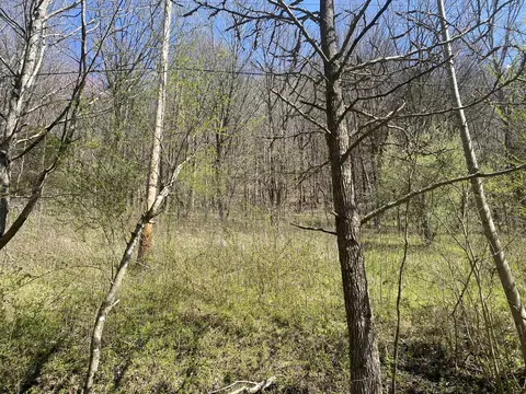 0 Acorn Ln, Gainesboro, TN 38562