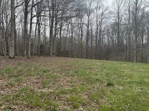 1 Ralph Spivey Ln, Gainesboro, TN 38562